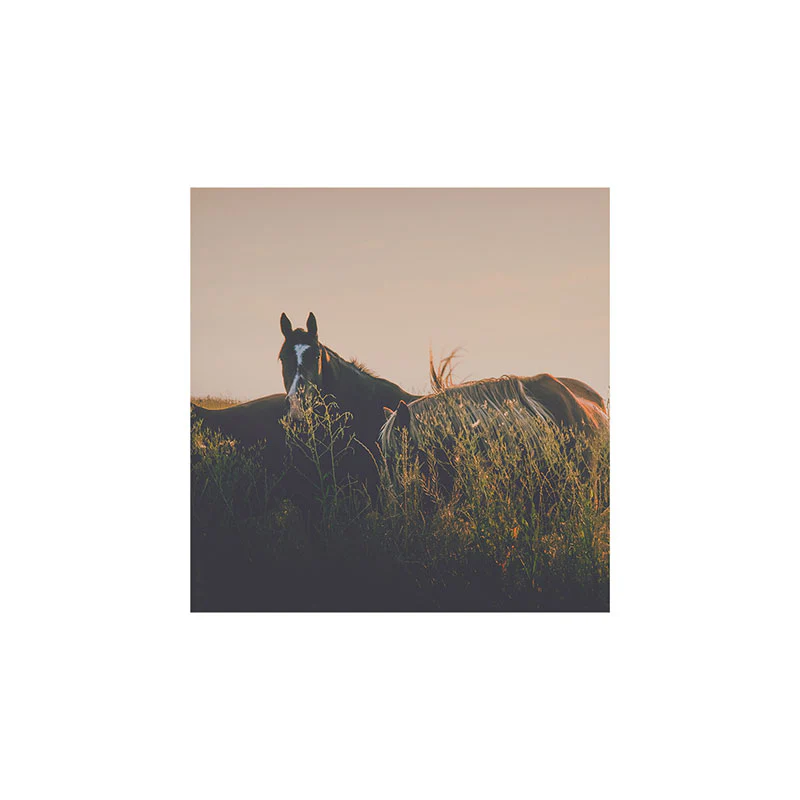 Annie Bailey Ears Art Print - Image 13