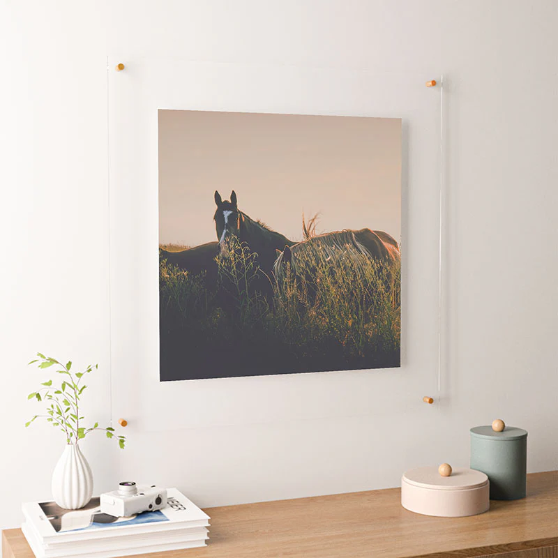 Annie Bailey Ears Floating Acrylic Print - Image 38
