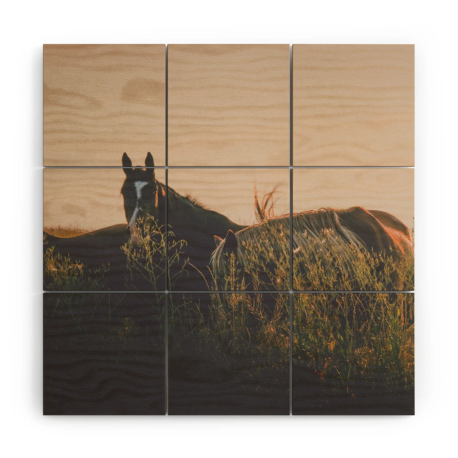 Annie Bailey Ears Wood Wall Mural - Image 3