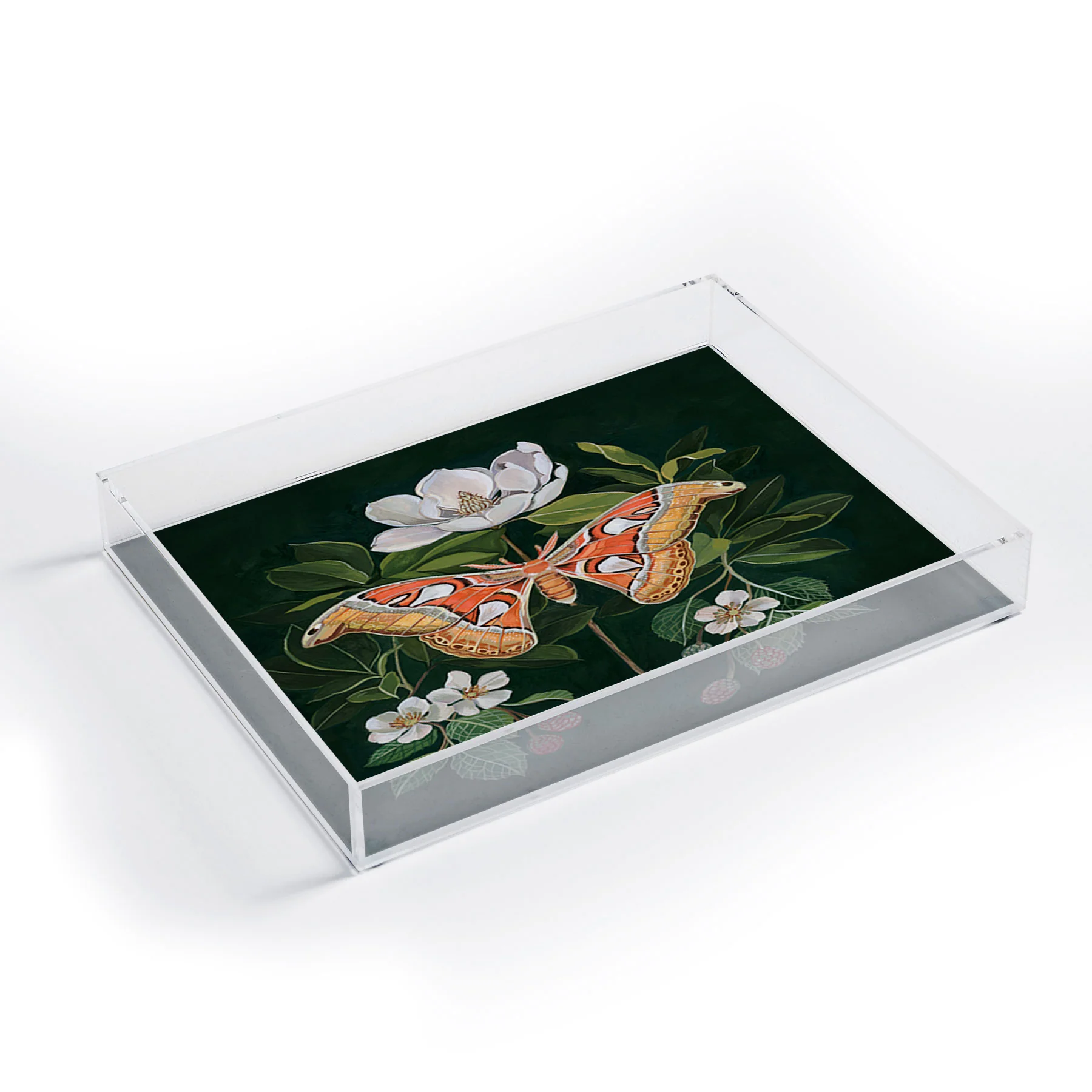 Clara McAllister Atlas Moth Acrylic Tray - Image 3