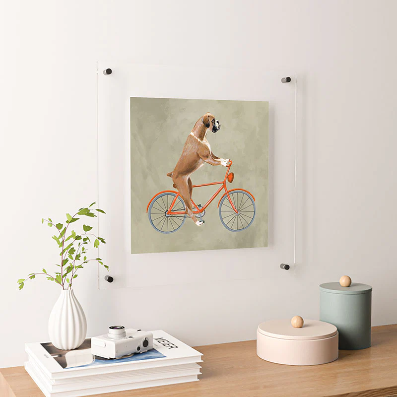 Coco de Paris Boxer on bicycle Floating Acrylic Print - Image 30