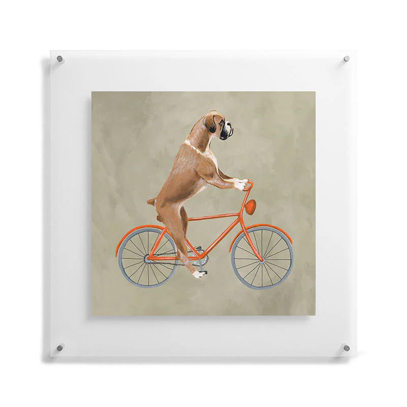 Coco de Paris Boxer on bicycle Floating Acrylic Print - Image 39