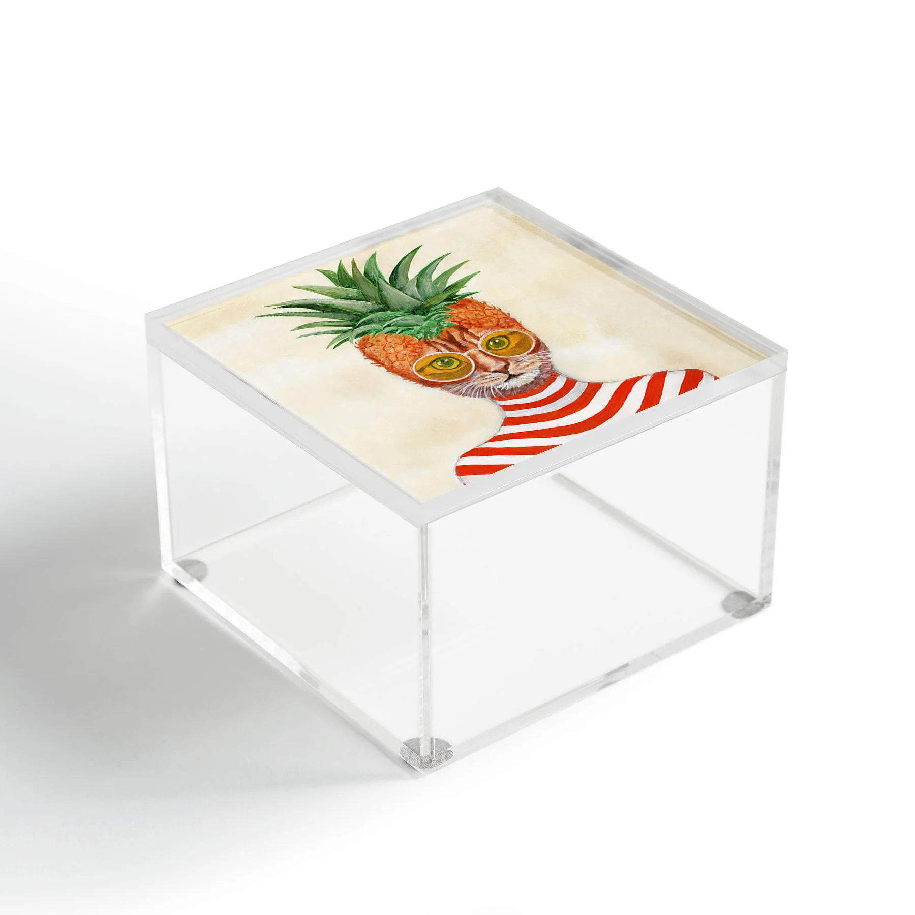 Coco de Paris Pineapple Cat Acrylic Box