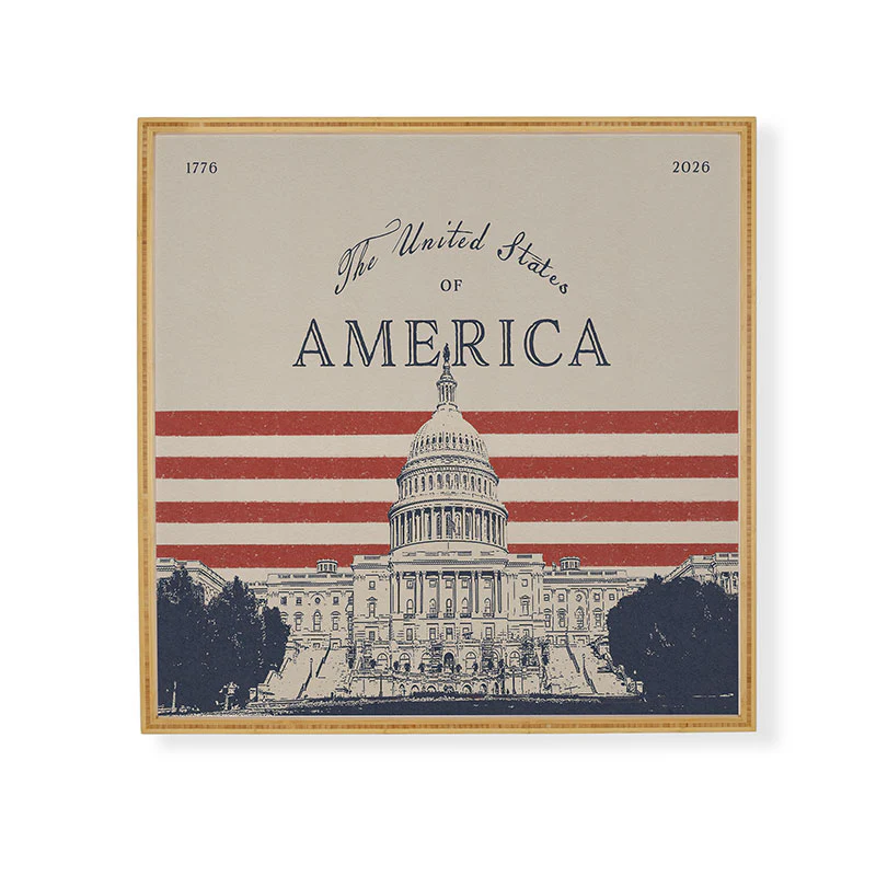 DENY Designs Capitol Building Framed Wall Art - Image 9