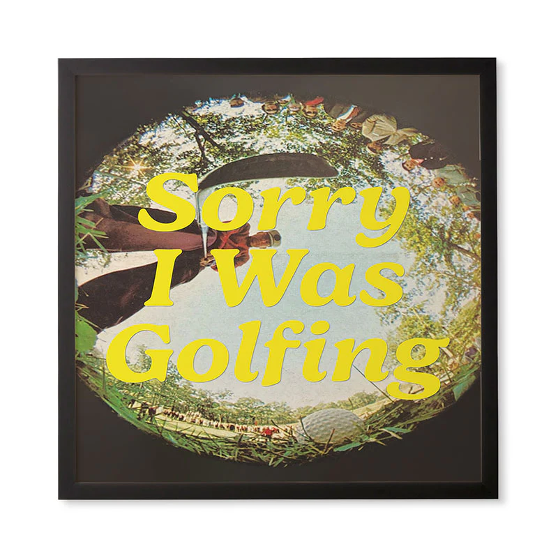 DENY Designs GolfFisheye Framed Wall Art - Image 11