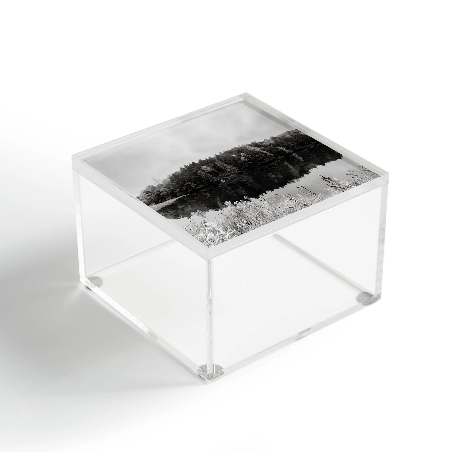 DENY Designs neversink Acrylic Box