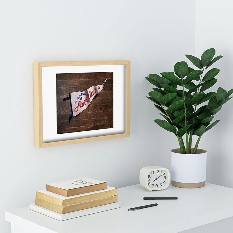 DENY Designs USA Stitched Pennant Recessed Framing Rectangle - Image 19