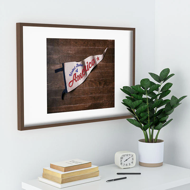 DENY Designs USA Stitched Pennant Recessed Framing Rectangle - Image 59
