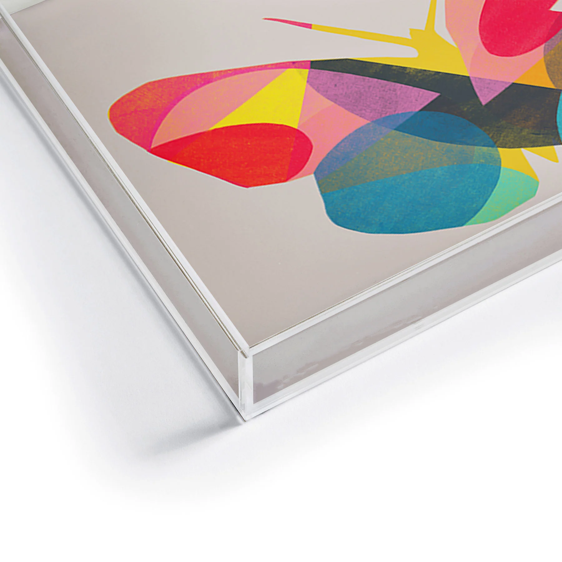Garima Dhawan flight 1d Acrylic Tray - Image 9