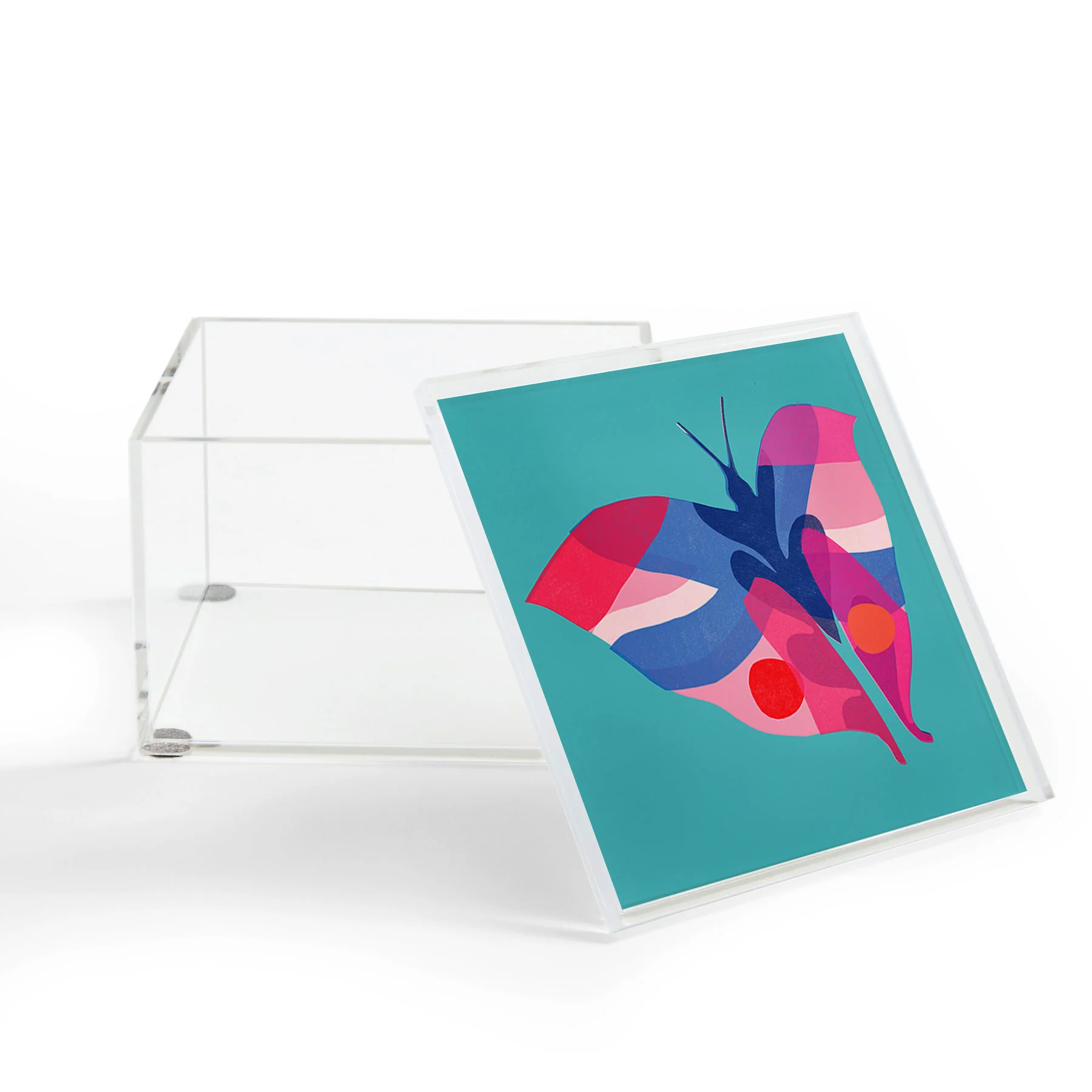 Garima Dhawan flight 2 Acrylic Box - Image 2