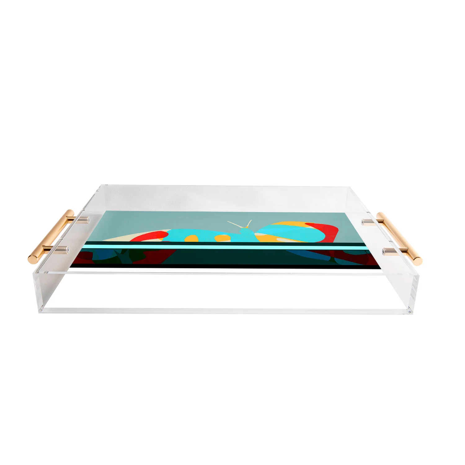 Garima Dhawan flight 5 Acrylic Tray - Image 4