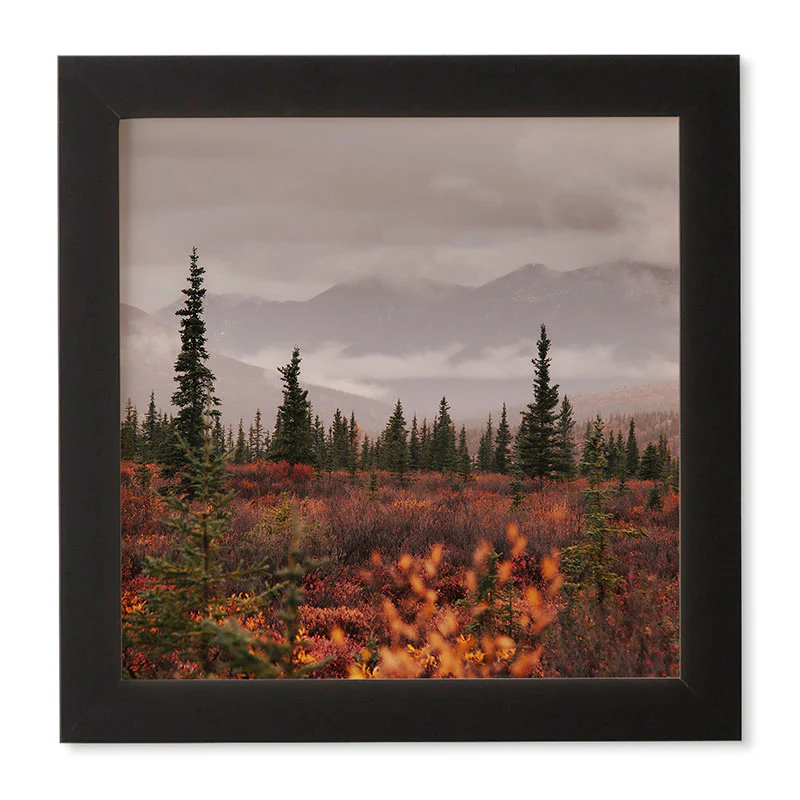 Hannah Kemp Autumn Up North Framed Wall Art - Image 7