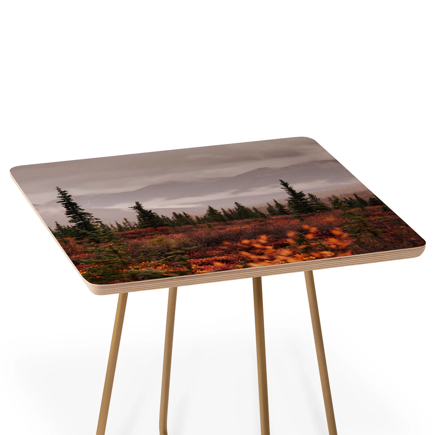 Hannah Kemp Autumn Up North Side Table - Image 3