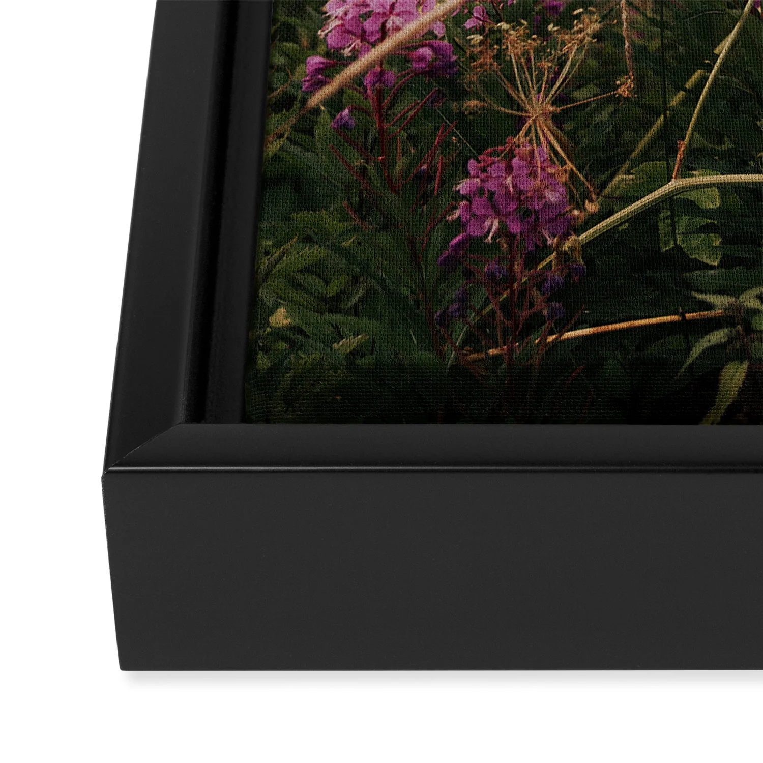 Hannah Kemp Fireweed Season Art Canvas - Image 8
