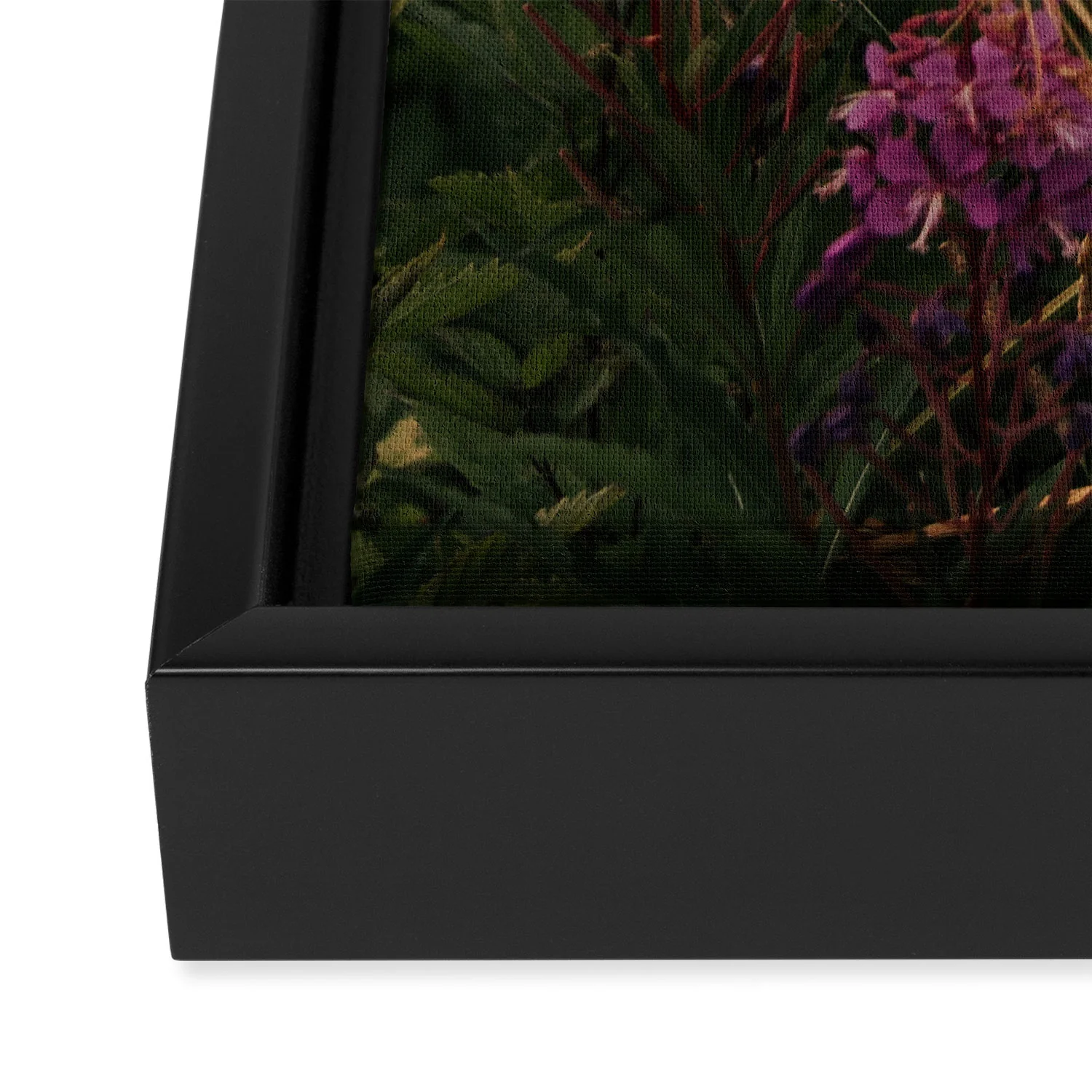 Hannah Kemp Fireweed Season Art Canvas - Image 9