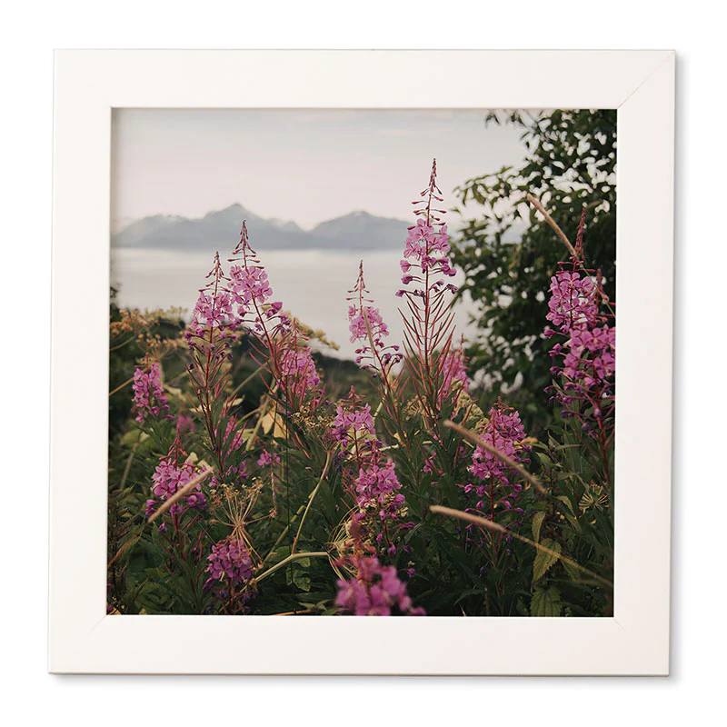 Hannah Kemp Fireweed Season Framed Wall Art - Image 13