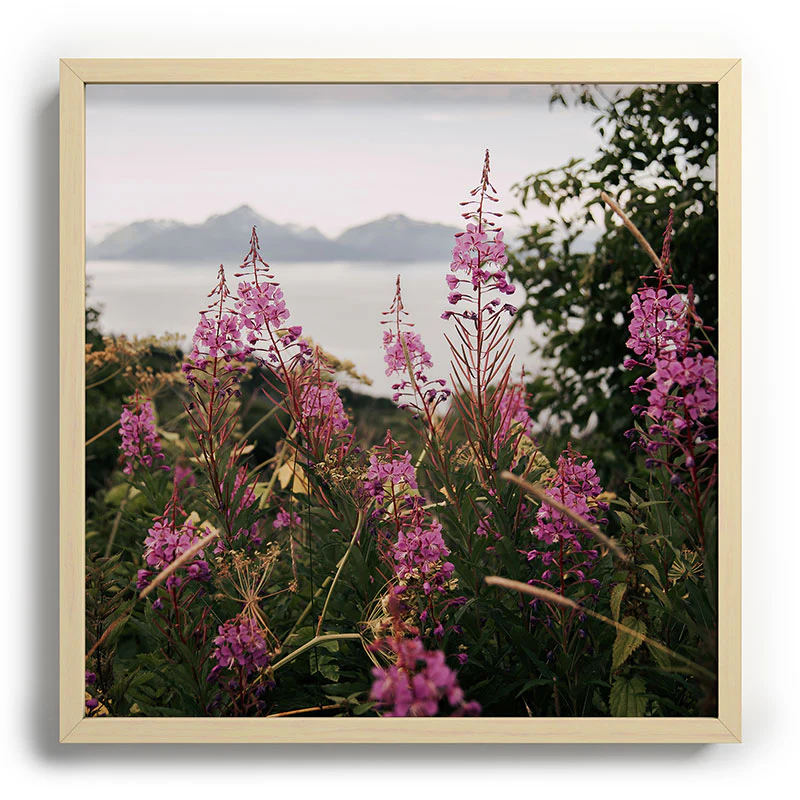 Hannah Kemp Fireweed Season Recessed Framing Square - Image 13