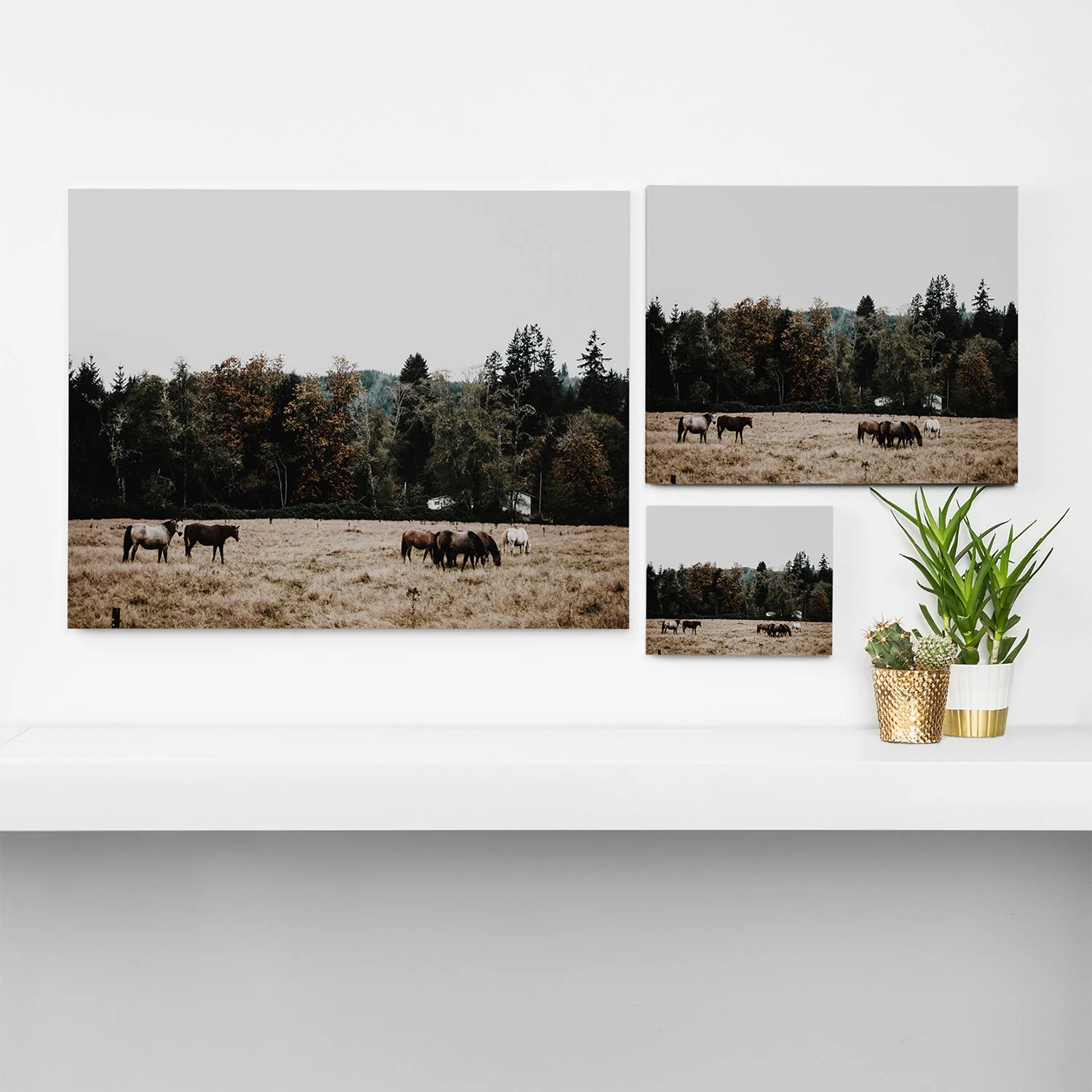 Hannah Kemp Horses two Art Canvas - Image 5