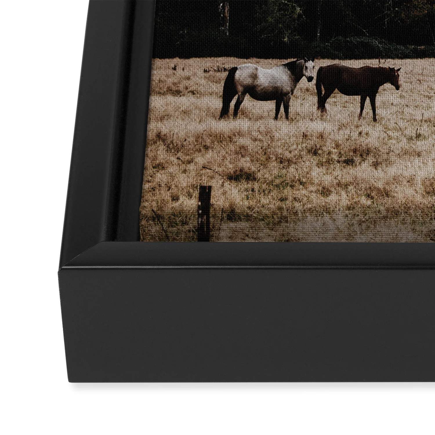 Hannah Kemp Horses two Art Canvas - Image 8