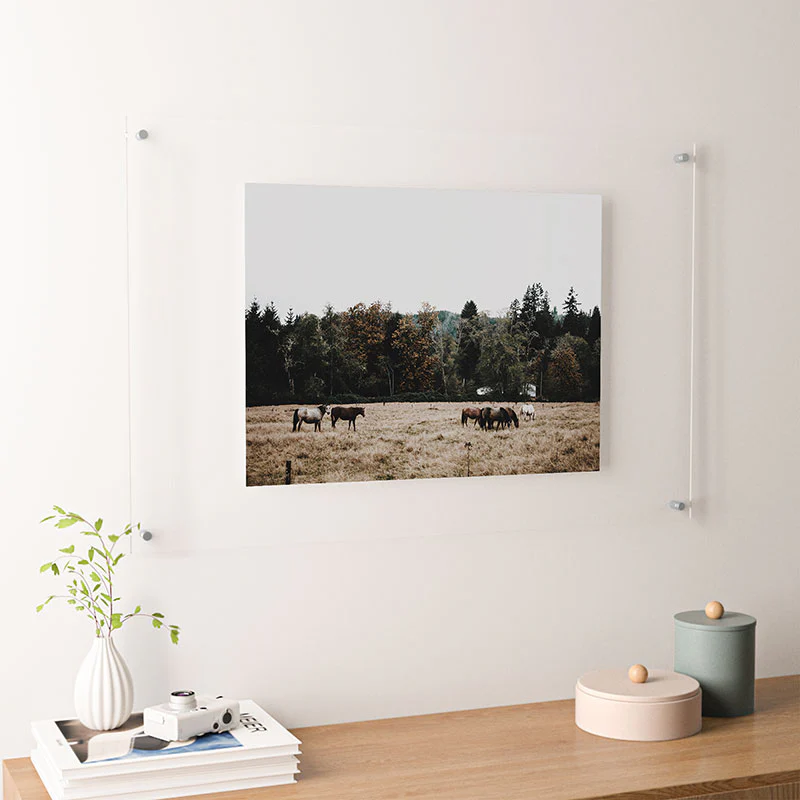Hannah Kemp Horses two Floating Acrylic Print - Image 34