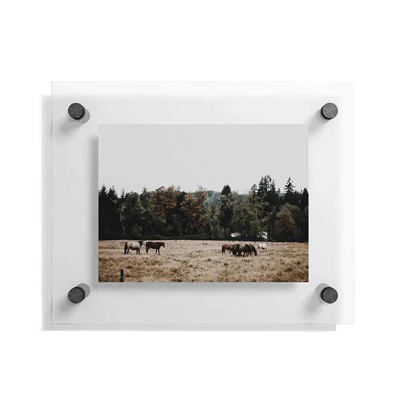 Hannah Kemp Horses two Floating Acrylic Print - Image 5