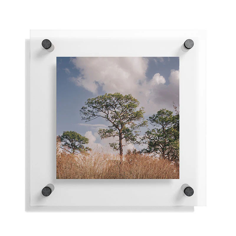 Hannah Kemp Longleaf Pine Floating Acrylic Print - Image 11