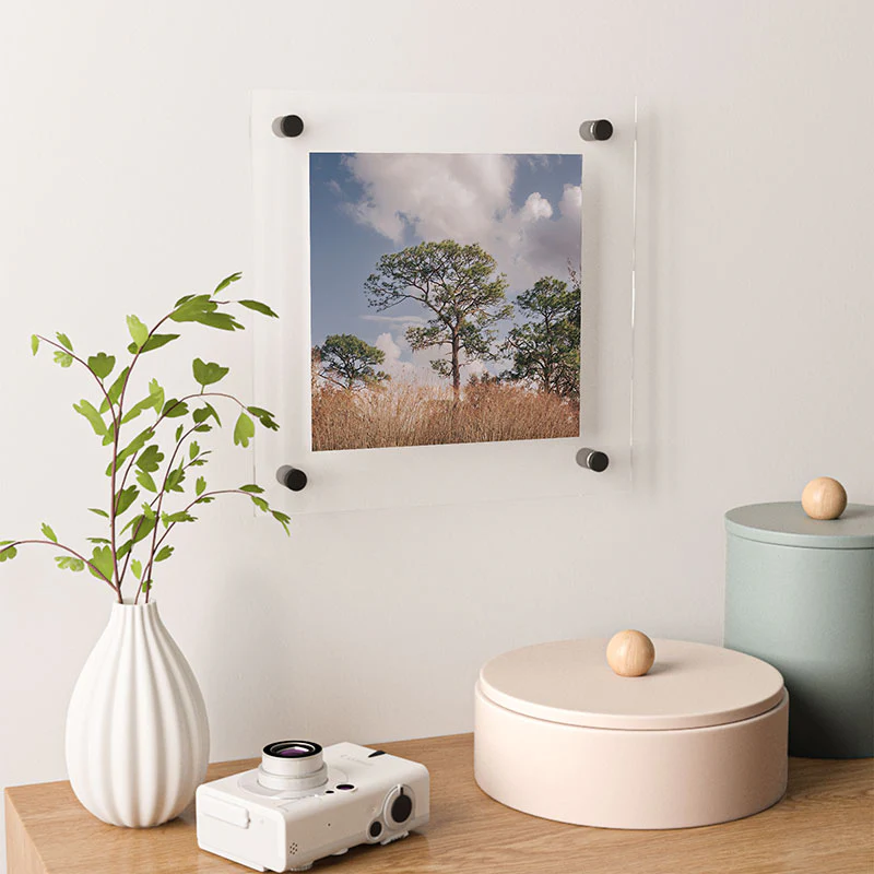 Hannah Kemp Longleaf Pine Floating Acrylic Print - Image 12