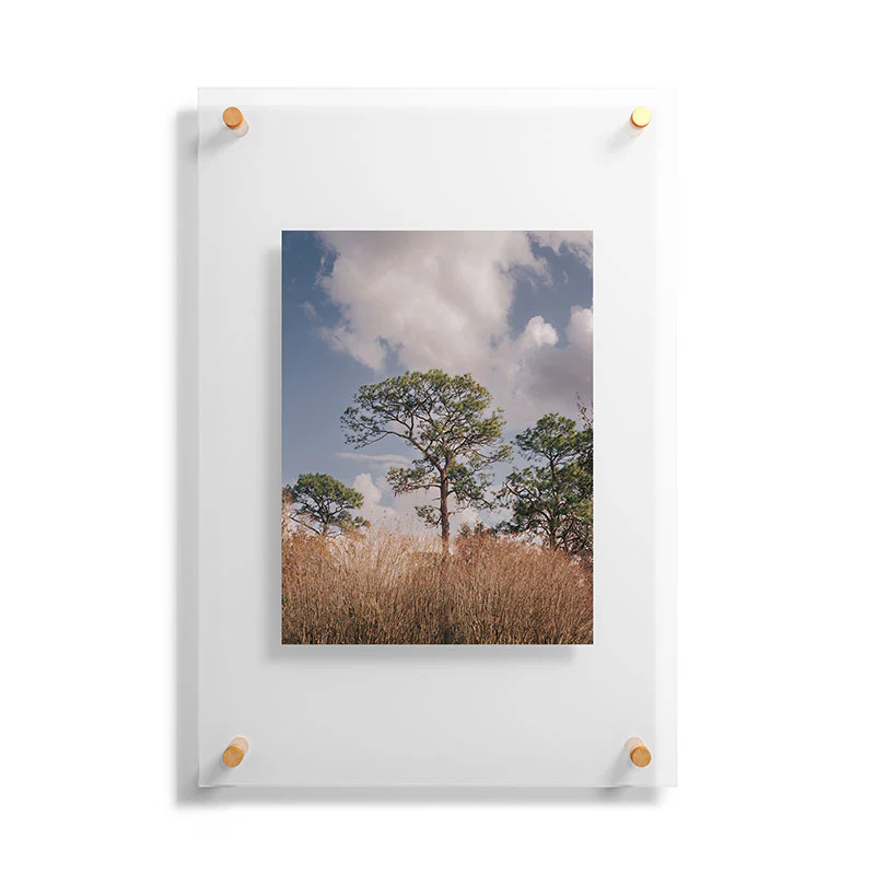 Hannah Kemp Longleaf Pine Floating Acrylic Print - Image 13