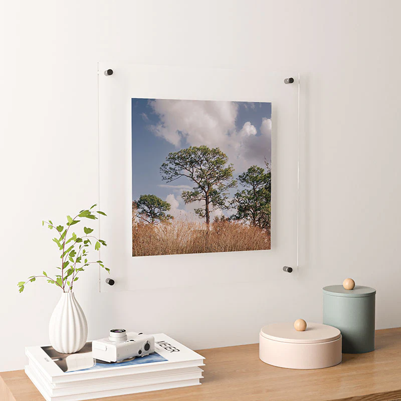 Hannah Kemp Longleaf Pine Floating Acrylic Print - Image 30