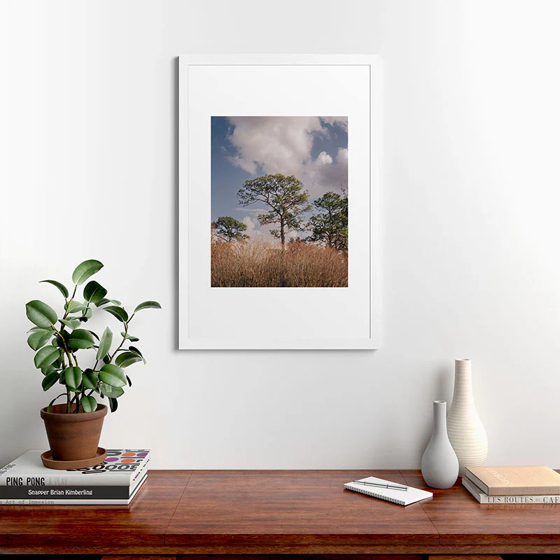 Hannah Kemp Longleaf Pine Framed Art Print - Image 24