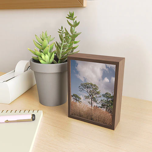Hannah Kemp Longleaf Pine Framed Mini Art Print - Image 7
