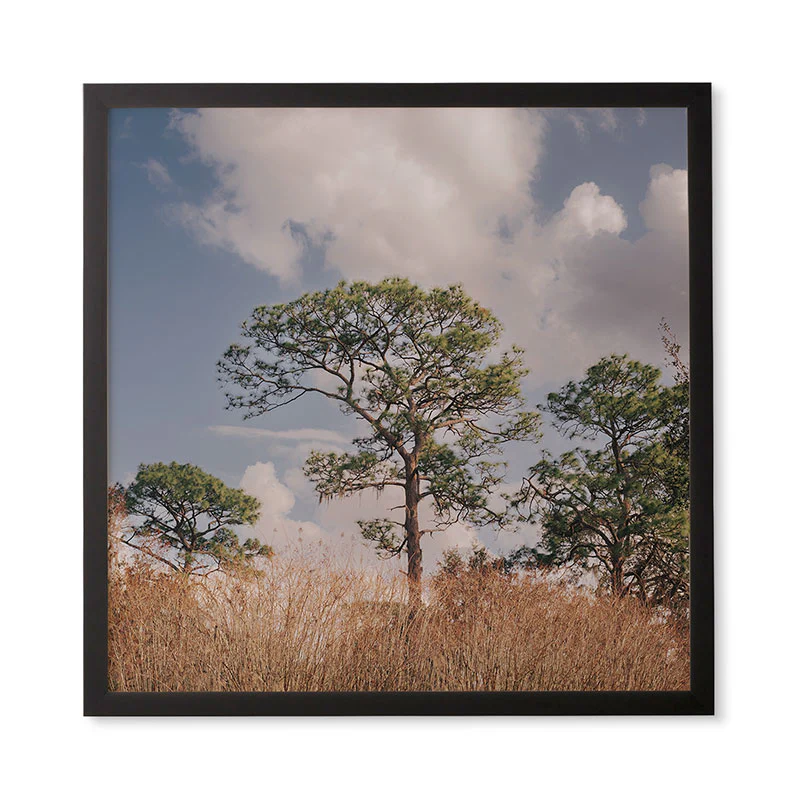 Hannah Kemp Longleaf Pine Framed Wall Art - Image 11