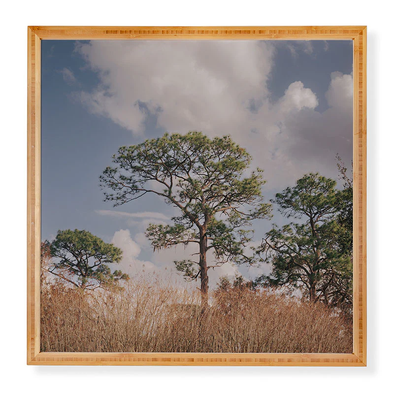 Hannah Kemp Longleaf Pine Framed Wall Art - Image 3