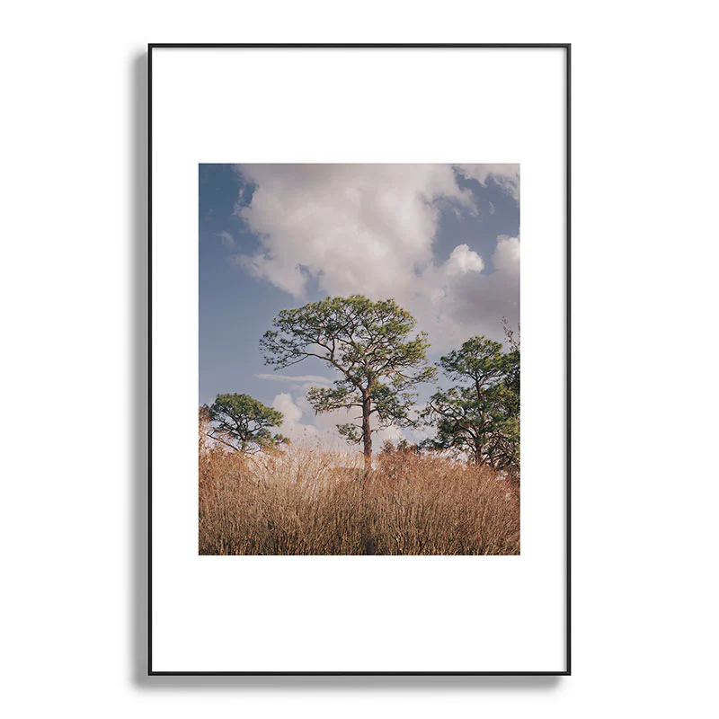 Hannah Kemp Longleaf Pine Metal Framed Art Print - Image 45