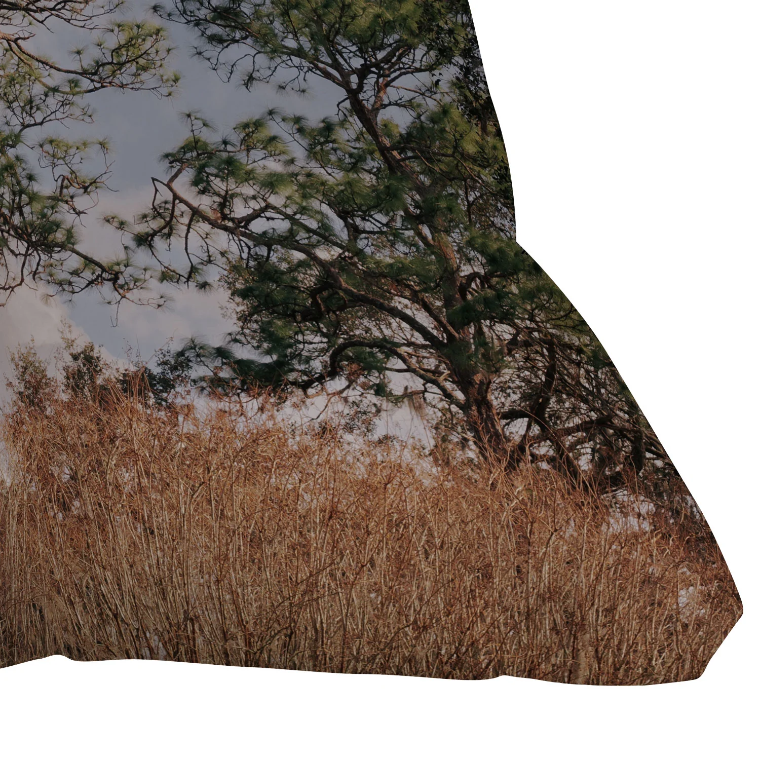 Hannah Kemp Longleaf Pine Outdoor Throw Pillow - Image 11