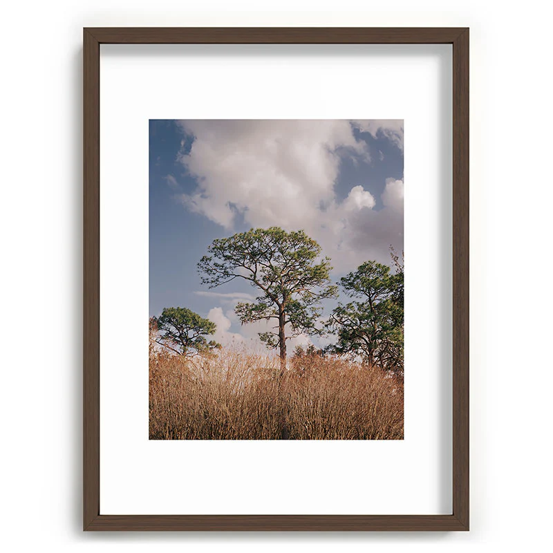 Hannah Kemp Longleaf Pine Recessed Framing Rectangle - Image 23