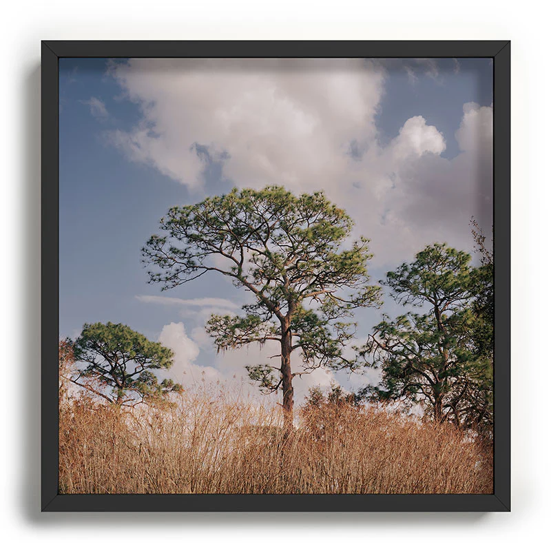 Hannah Kemp Longleaf Pine Recessed Framing Square - Image 9