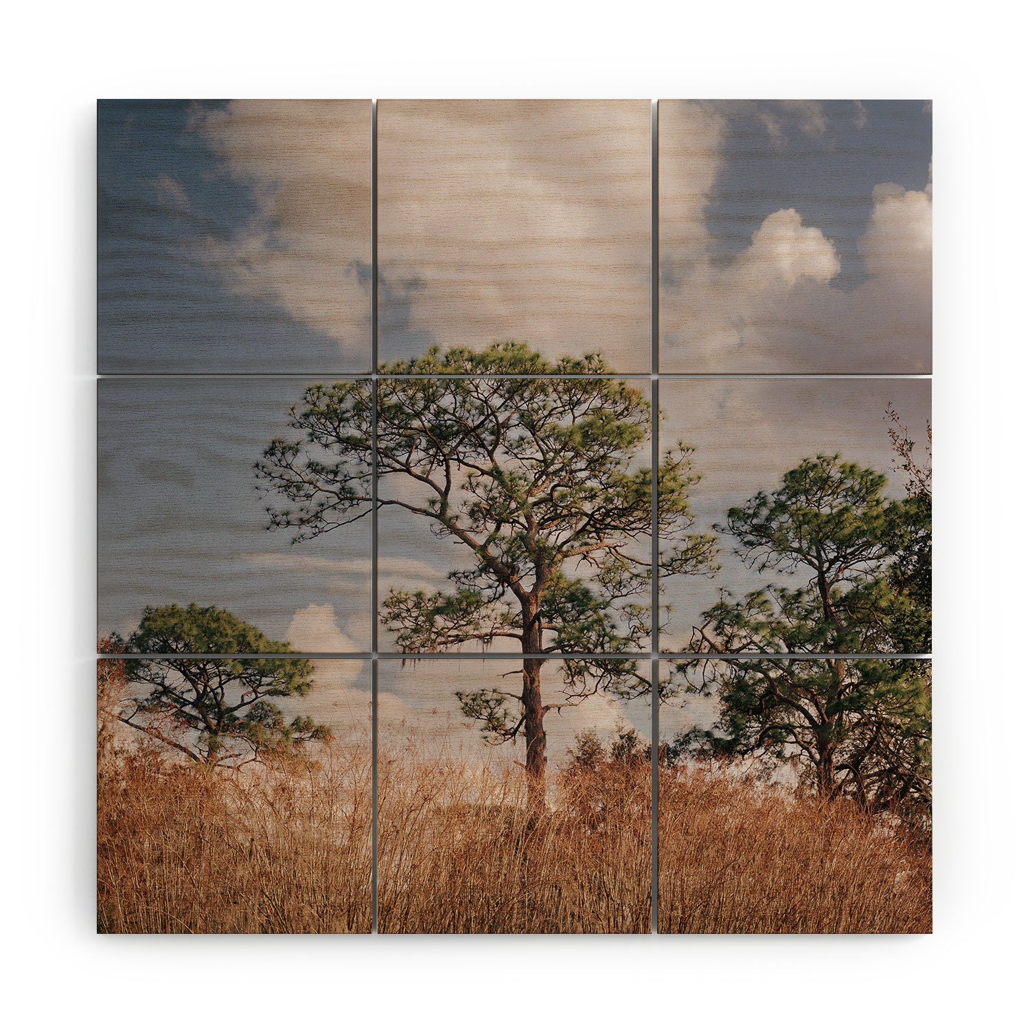 Hannah Kemp Longleaf Pine Wood Wall Mural - Image 3