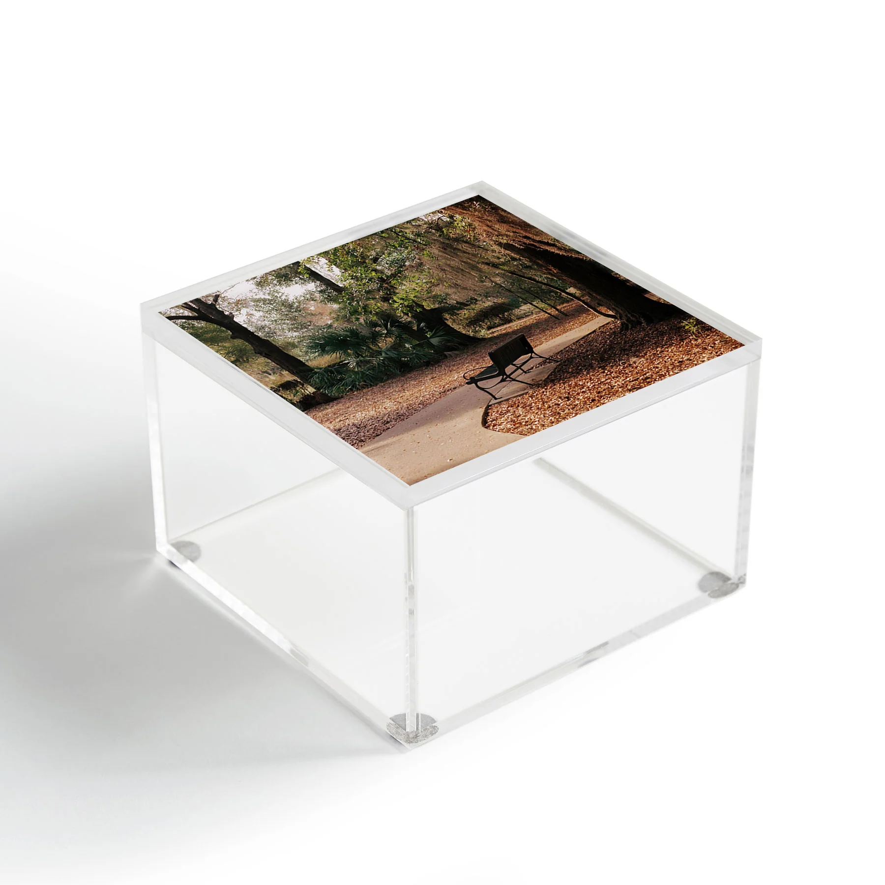 Hannah Kemp Park Path Acrylic Box