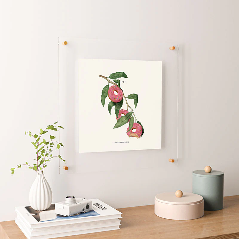 Jonas Loose Donut Plant Floating Acrylic Print - Image 26