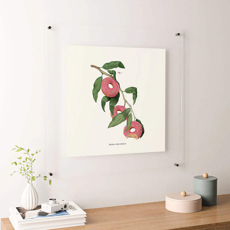 Jonas Loose Donut Plant Floating Acrylic Print - Image 42