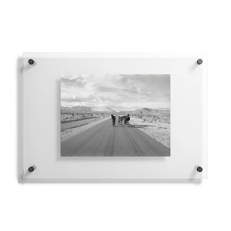 Kevin Russ Spring Mountain Wild Horses Floating Acrylic Print - Image 17