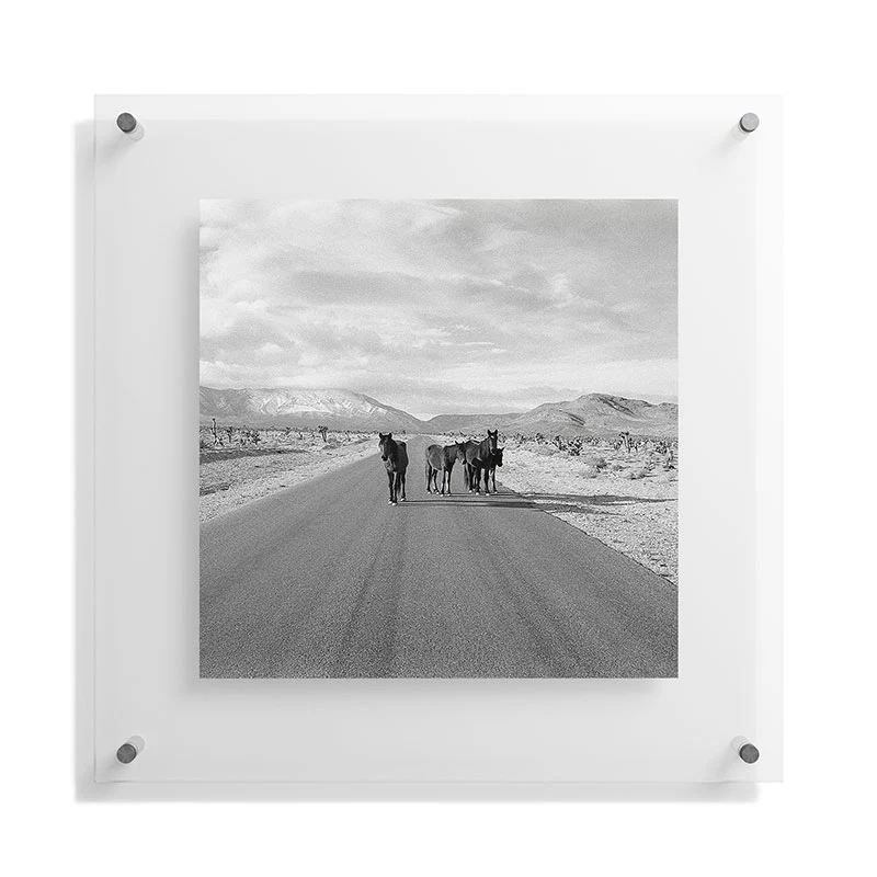 Kevin Russ Spring Mountain Wild Horses Floating Acrylic Print - Image 29