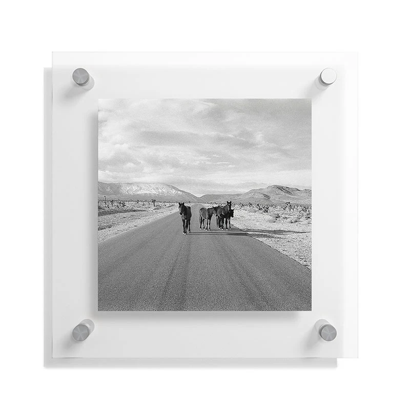 Kevin Russ Spring Mountain Wild Horses Floating Acrylic Print - Image 9