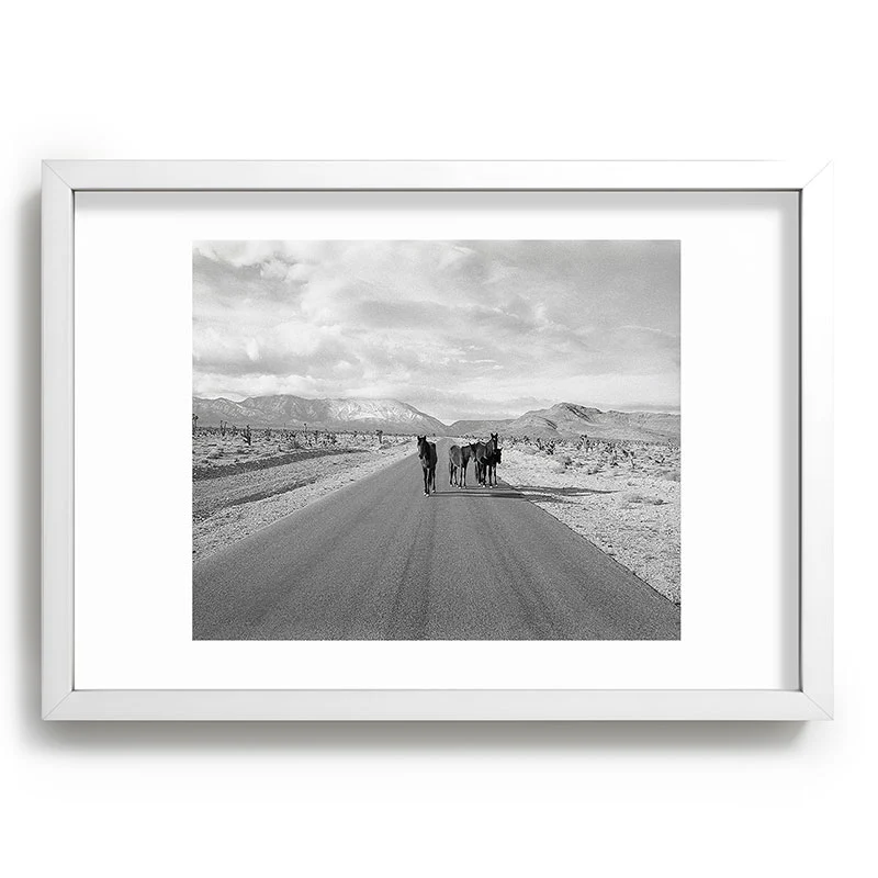 Kevin Russ Spring Mountain Wild Horses Recessed Framing Rectangle - Image 11