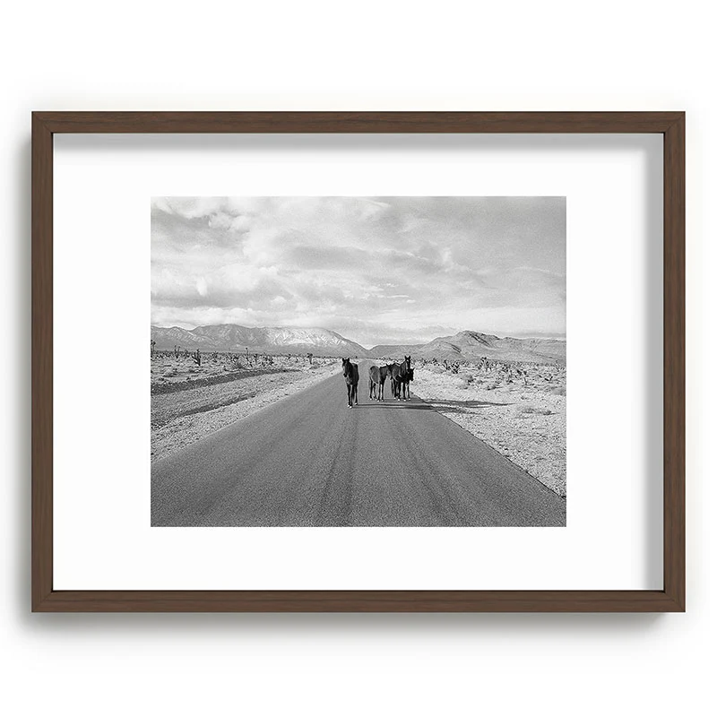 Kevin Russ Spring Mountain Wild Horses Recessed Framing Rectangle - Image 23