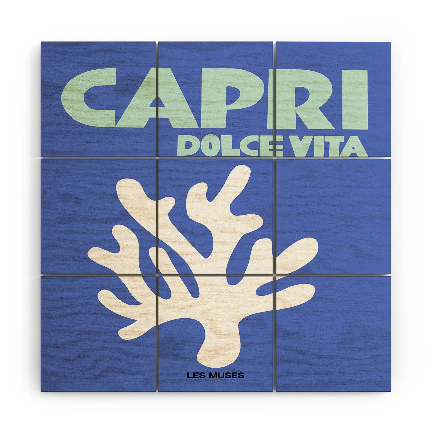 les muses capri dolce vita Wood Wall Mural - Image 3