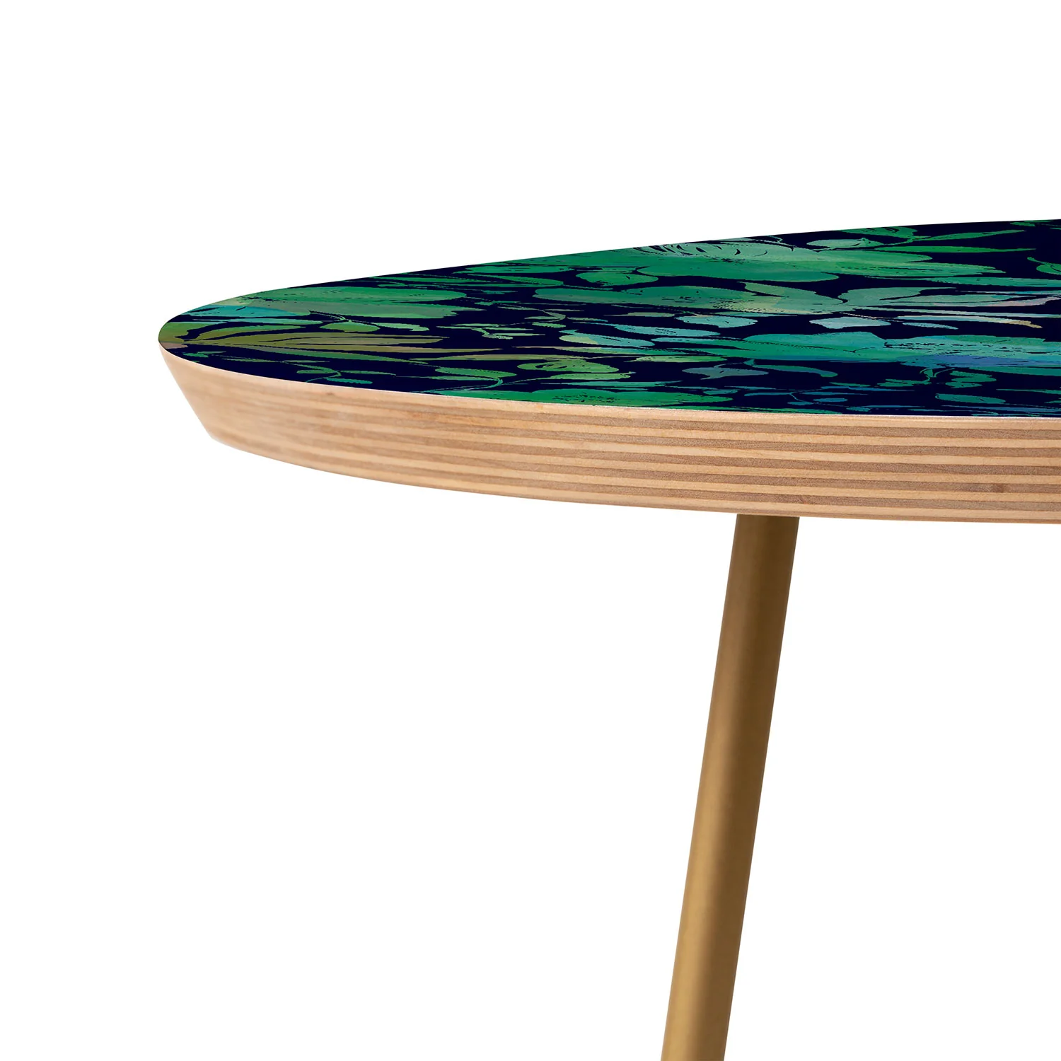Marta Barragan Camarasa Lush Evening Botanicals Round Side Table - Image 5