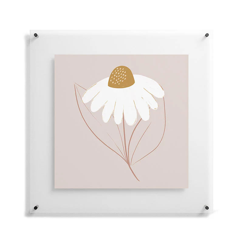 Menina Lisboa Pastel Spring Daisies Floating Acrylic Print - Image 41
