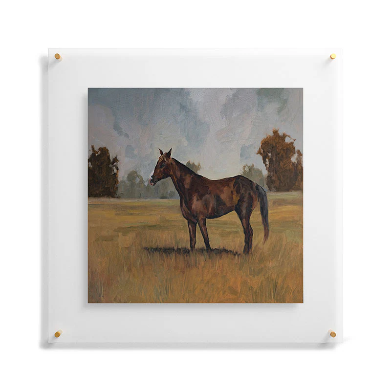 Miss Mustard Seed Runaway Rocky Floating Acrylic Print - Image 37